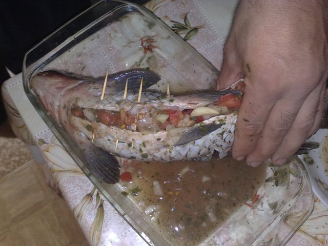 Фаршируем сазана и скрепляем зубочистками